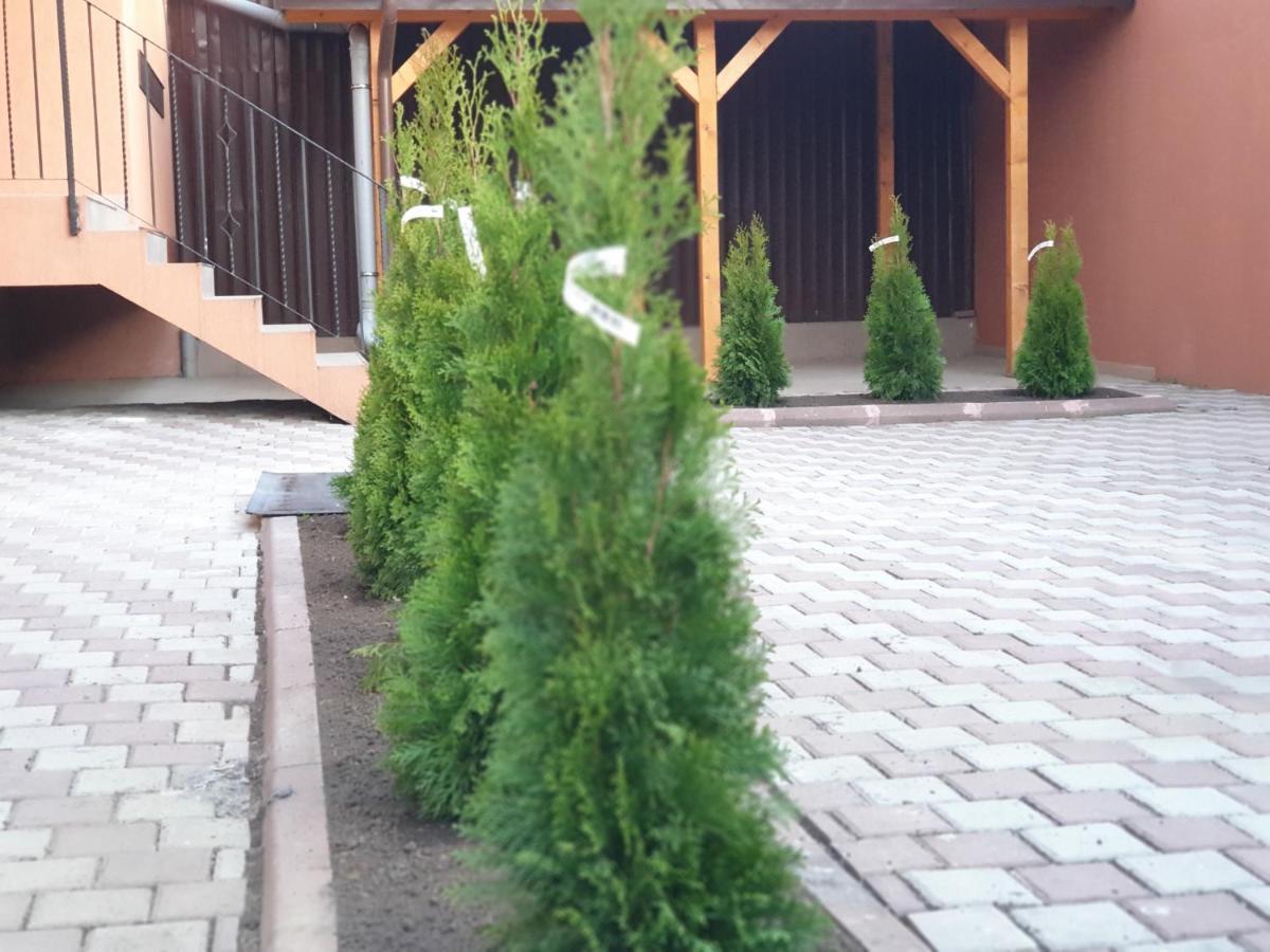 Villa Accommodation Бухарест Екстер'єр фото